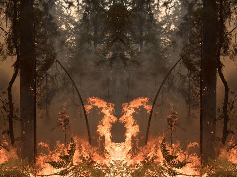 Die Aufnahme eines Waldbrandes, wobei das Bild in der Mitte einmal wie bei einem Kaleidoskop gespiegelt ist