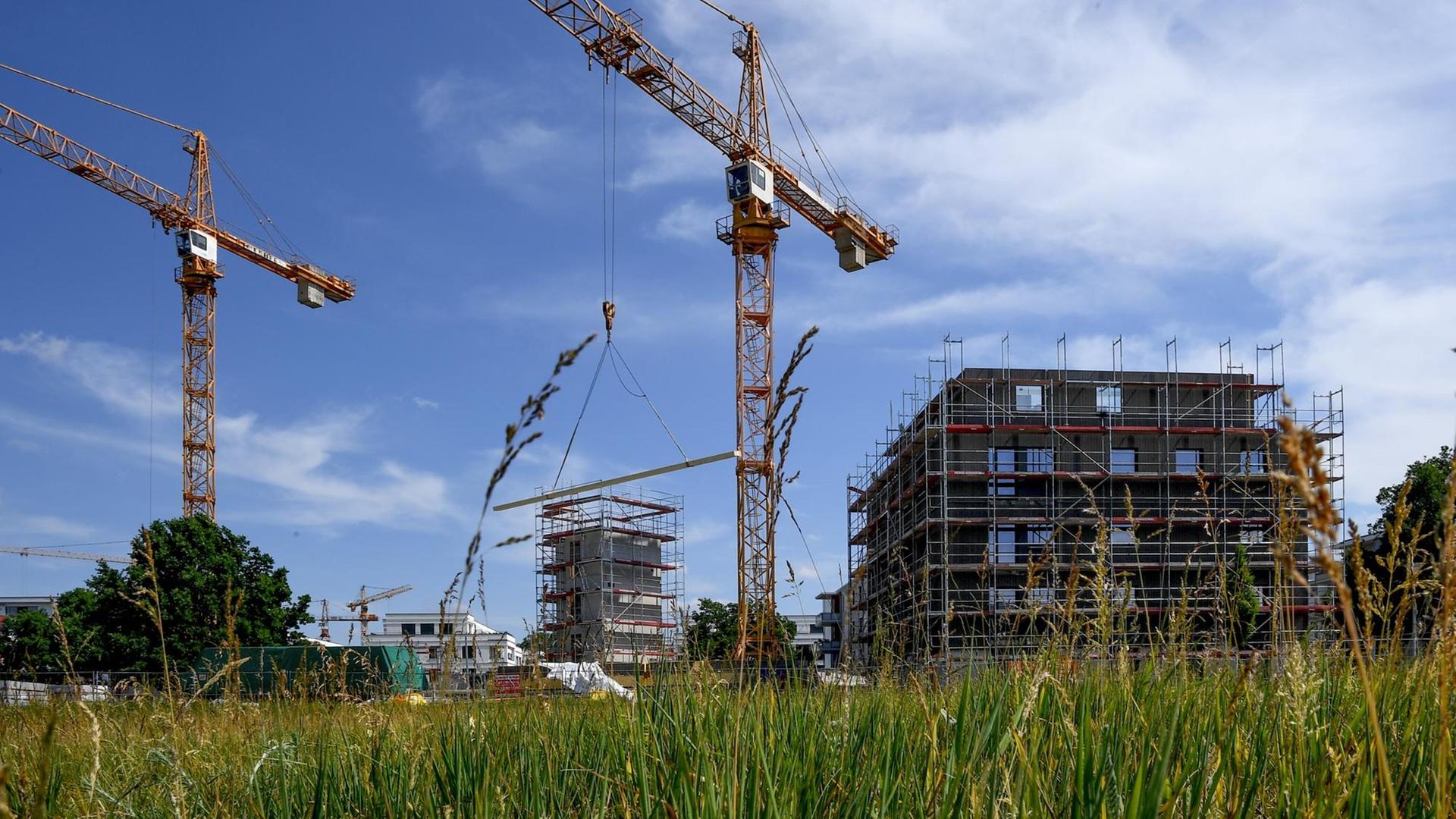 Zwei Kräne auf einer Baustelle der Wohnungsbaugesellschaft Howoge in Berlin, im Bildvordergrund ist ein grüne Wiese zu sehen. Zwei Kräne auf einer Baustelle der Wohnungsbaugesellschaft Howoge in Berlin, im Bildvordergrund ist ein grüne Wiese zu sehen.