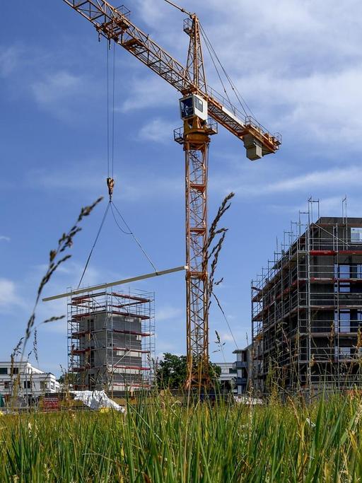 Zwei Kräne auf einer Baustelle der Wohnungsbaugesellschaft Howoge in Berlin, im Bildvordergrund ist ein grüne Wiese zu sehen.