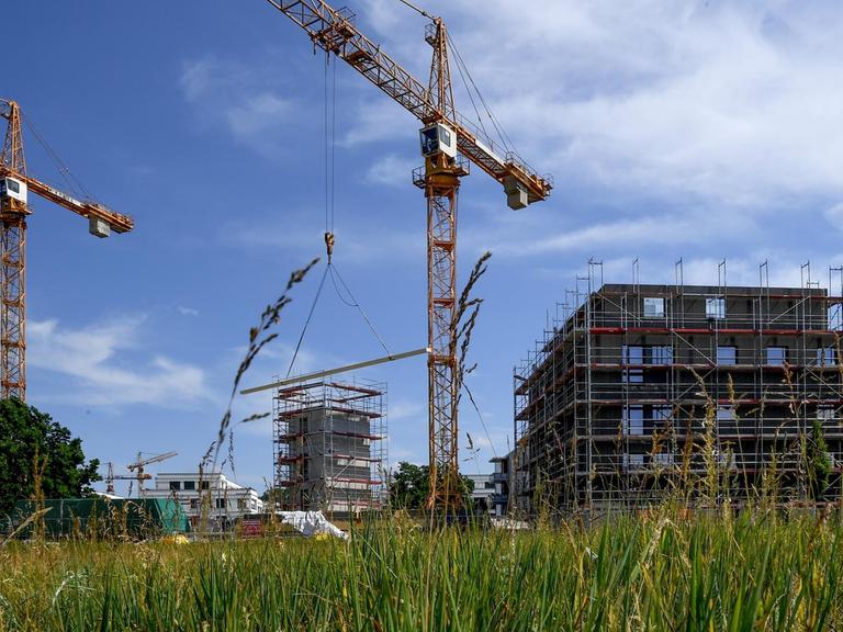 Zwei Kräne auf einer Baustelle der Wohnungsbaugesellschaft Howoge in Berlin, im Bildvordergrund ist ein grüne Wiese zu sehen.