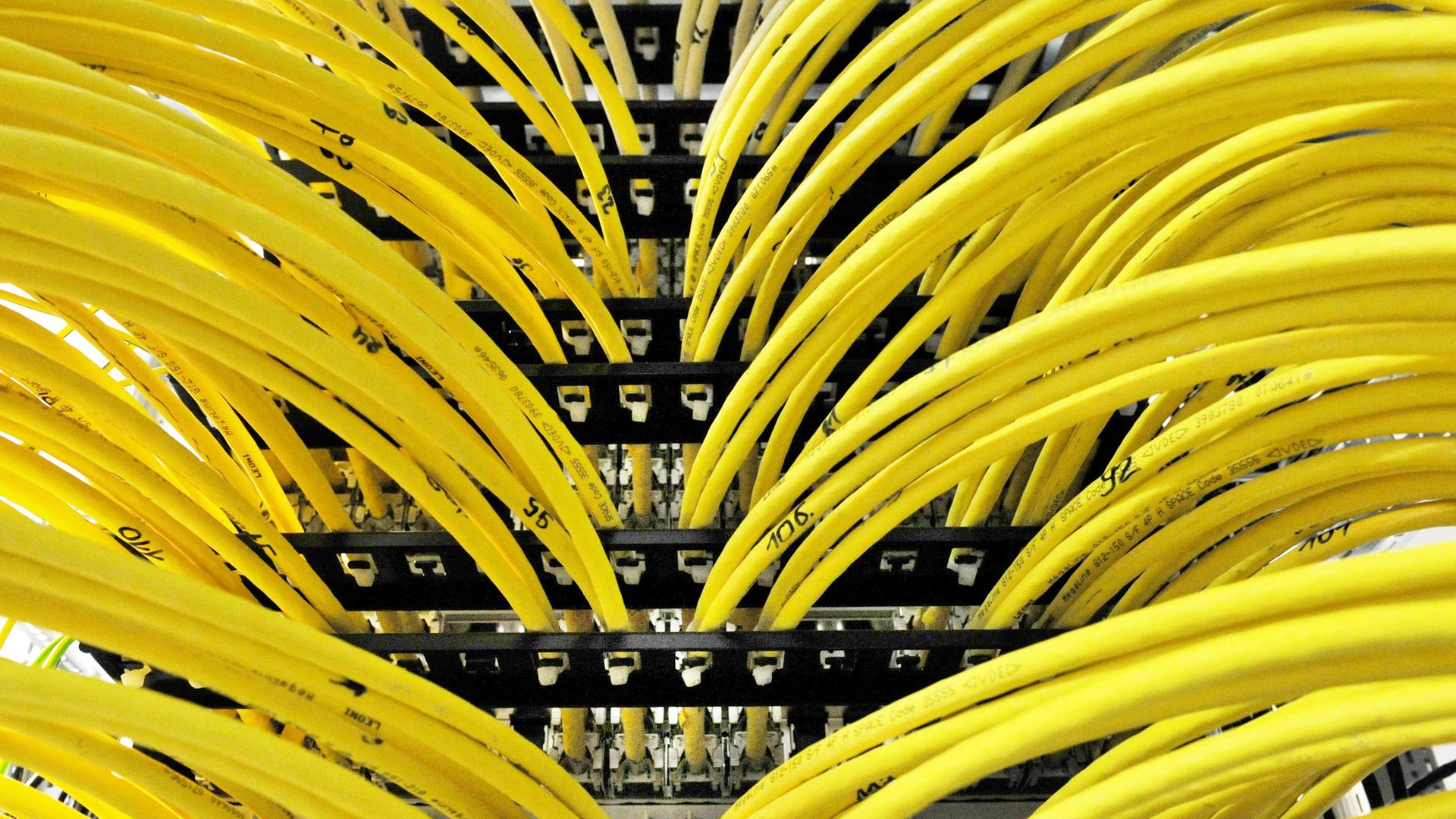 Zahlreiche Netzwerkkabel stecken in einem Serverraum in Berlin in einem Netzwerkverteiler. Zahlreiche Netzwerkkabel stecken in einem Serverraum in Berlin in einem Netzwerkverteiler.