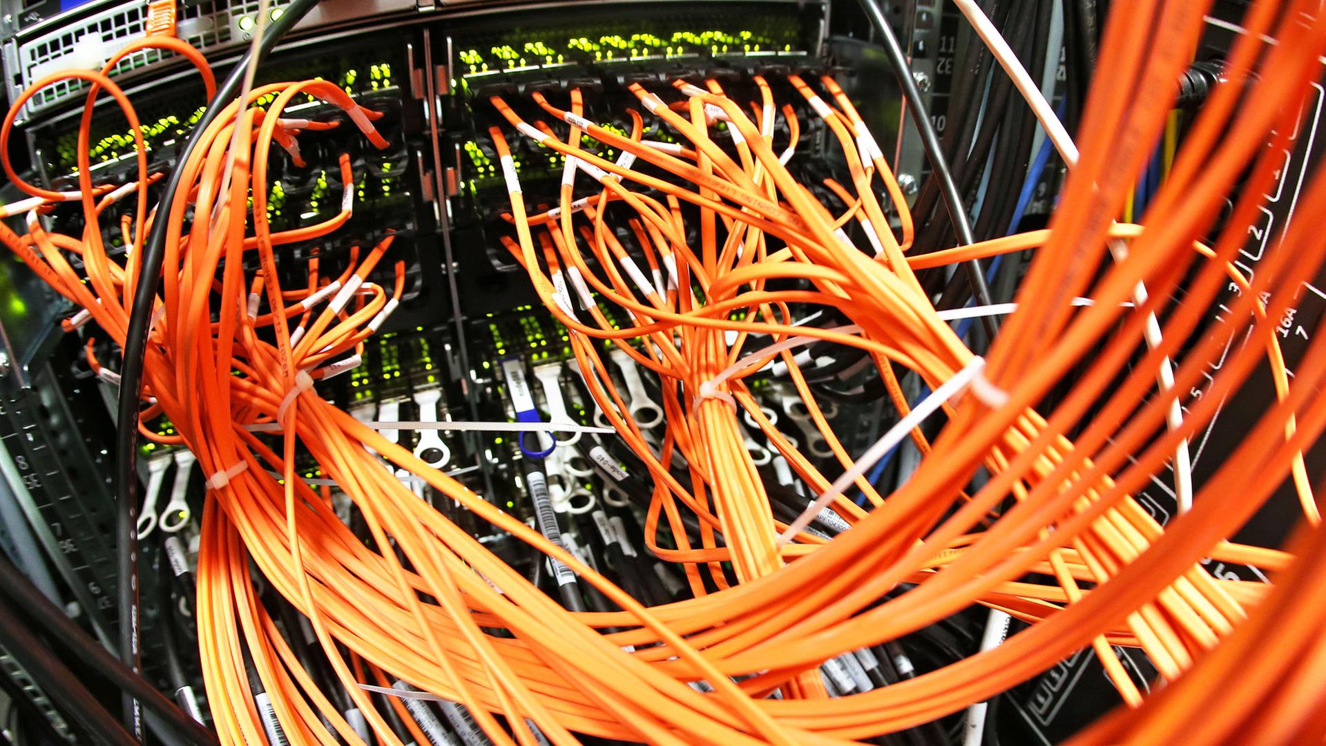 Glasfaser-Datenkabel hängen an einem 40-Gigabit-Switch im neuen Hochleistungsrechner im Umweltforschungszentrum (UFZ) in Leipzig (Sachsen). Glasfaser-Datenkabel hängen an einem 40-Gigabit-Switch im neuen Hochleistungsrechner im Umweltforschungszentrum (UFZ) in Leipzig (Sachsen).