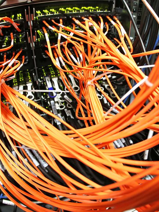 Glasfaser-Datenkabel hängen an einem 40-Gigabit-Switch im neuen Hochleistungsrechner im Umweltforschungszentrum (UFZ) in Leipzig (Sachsen).
