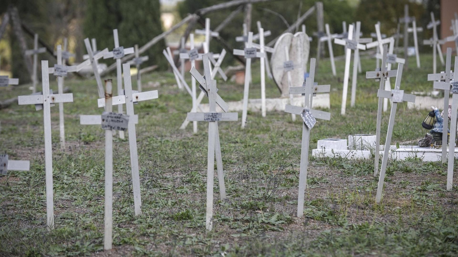 Auf dem Friedhof Flaminio di Prima Porta in Rom stehen provisorische Kreuze mit handgemalten Schildern - darauf die Namen von Frauen, die einen Schwangerschaftsabbruch durchführen ließen