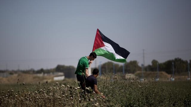 Ein Demonstrant hält die palästinensische Flagge in die Luft. 