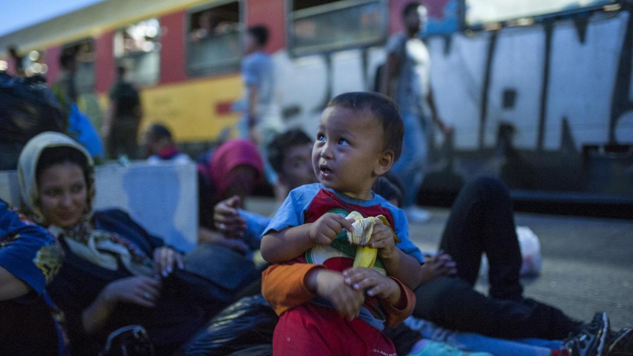 Migranten nahe der mazedonischen Stadt Gevgelija an der Grenze zu Griechenland. Migranten nahe der mazedonischen Stadt Gevgelija an der Grenze zu Griechenland.