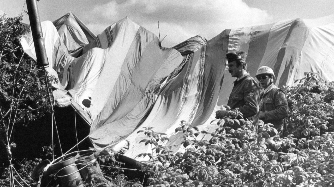 Foto von einem Heißluftballon, der in einer Hecke hängt. Foto von einem Heißluftballon, der in einer Hecke hängt.