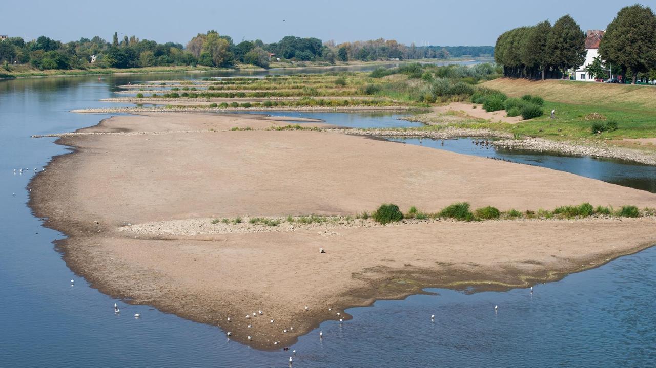 Blick vom Grenzübergang Stadtbrücke in Frankfurt (Oder) (Brandenburg) am 12.09.2016 auf eine große Sandbank die im Niedrigwasser der Oder zu sehen ist. Blick vom Grenzübergang Stadtbrücke in Frankfurt (Oder) (Brandenburg) am 12.09.2016 auf eine große Sandbank die im Niedrigwasser der Oder zu sehen ist.