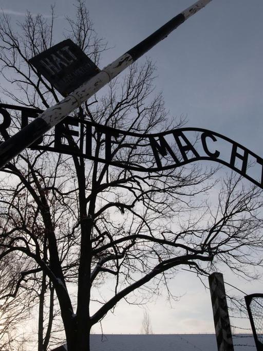 "Arbeit macht frei" steht über einem Tor zum ehemaligen Konzentrationslager Auschwitz.