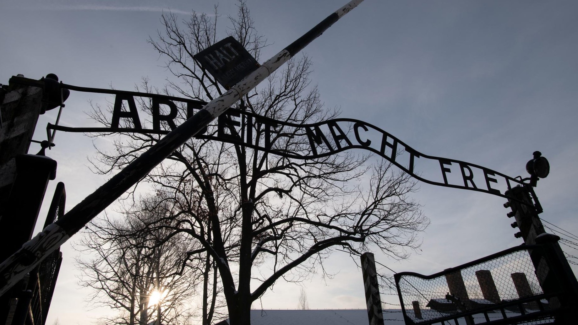 Vor 75 Jahren in Auschwitz - Der Tod der jüdischen Ärztin Lilli Jahn ...