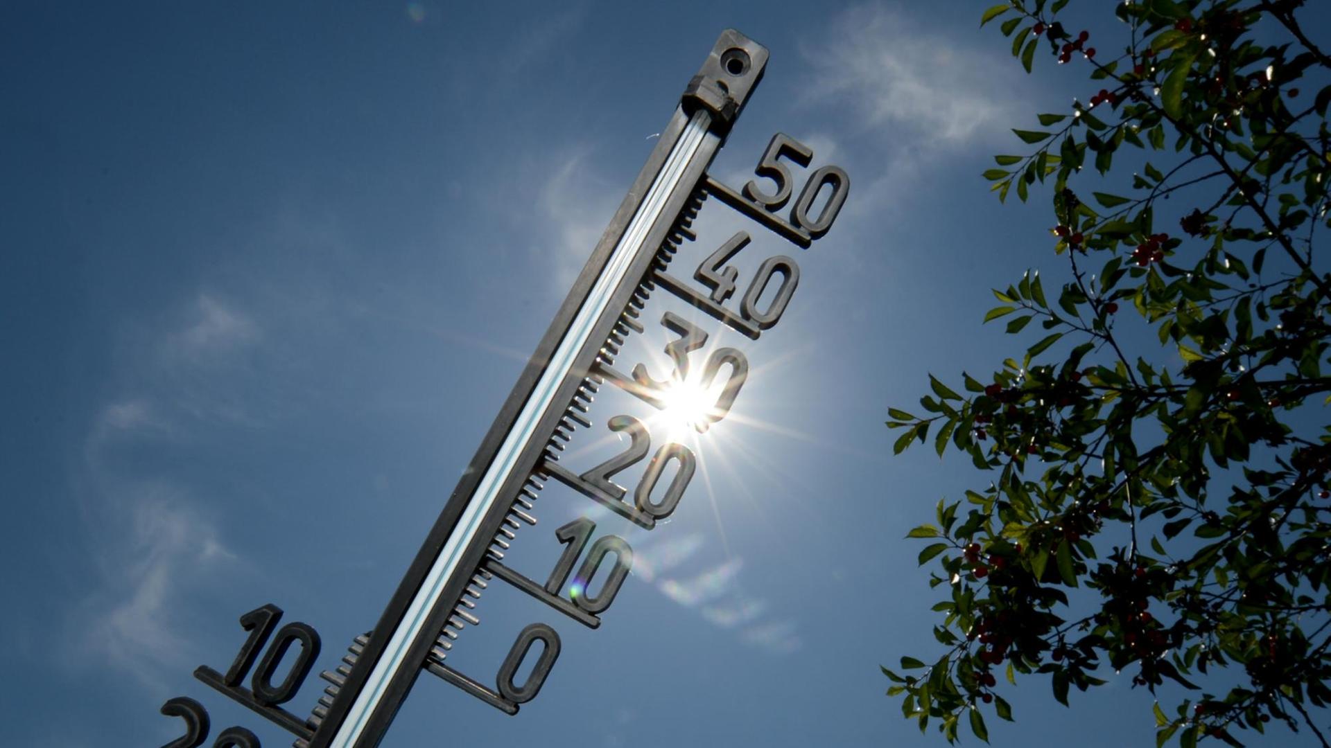 Ein Thermometer Ein Thermometer