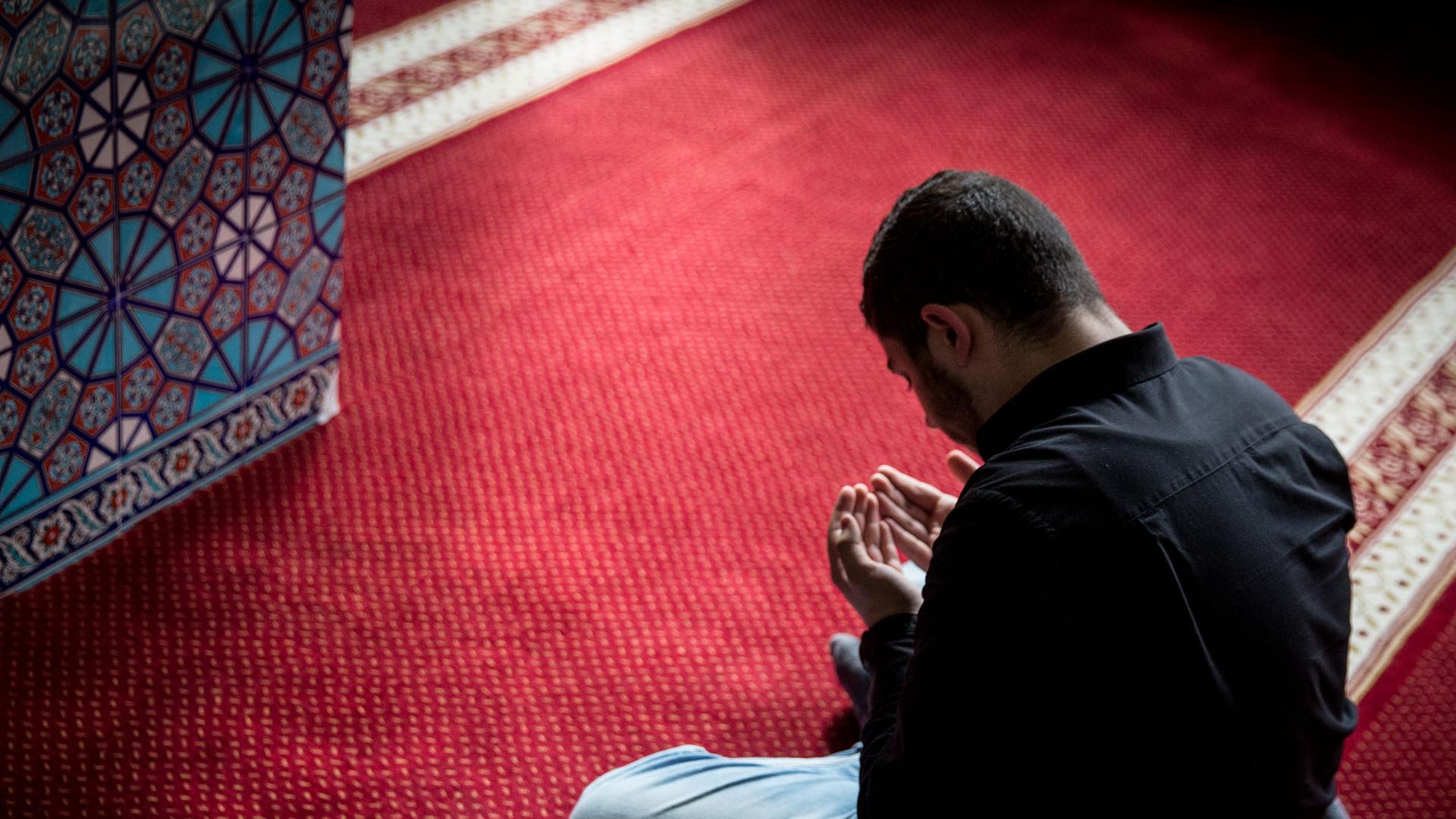 Ein Muslim betet in Hamburg in der Centrums Moschee. Ein Muslim betet in Hamburg in der Centrums Moschee.