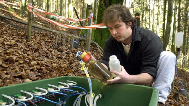 In die Behälter einer Sammelstelle im Schwarzwald läuft Wasser, das aus unterschiedlichen Bodentiefen abgepumpt wird, um es zu analysieren.