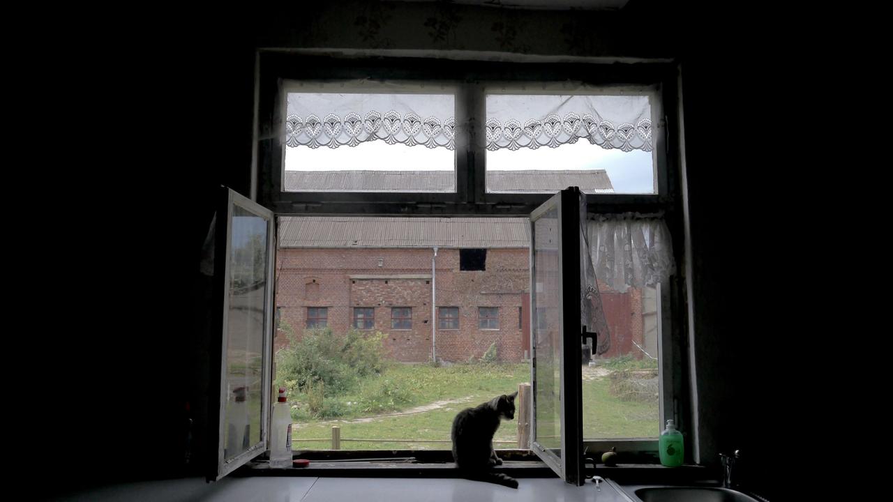 Blick durch das Küchenfenster auf den Hof der Familie Blick durch das Küchenfenster auf den Hof der Familie