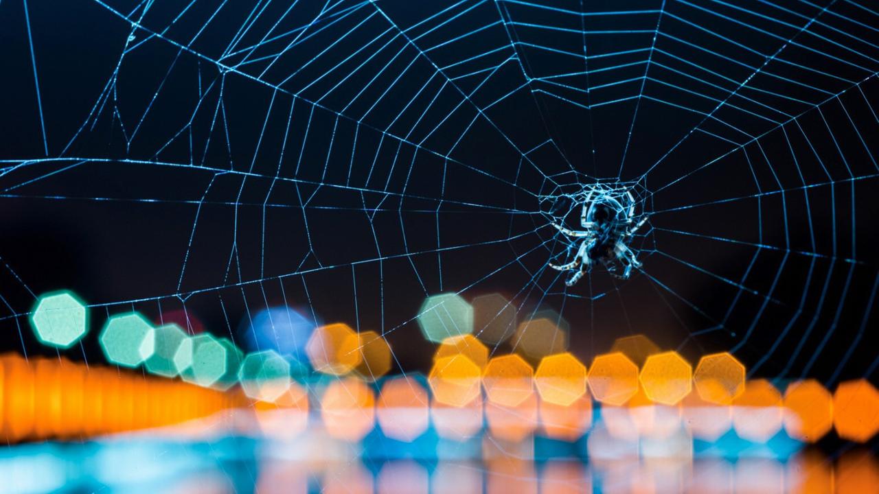 Eine Spinne im Netz vor dunklem Hintergrund, im Vordergrund bunte Lichter. Eine Spinne im Netz vor dunklem Hintergrund, im Vordergrund bunte Lichter.