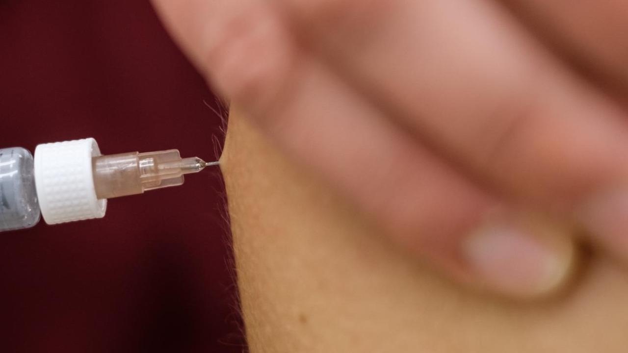 Eine Arzthelferin impft in einer Arztpraxis eine Patentin mit einer Spritze mit dem Impfstoff Rabipur zum Schutz vor Tollwut. Eine Arzthelferin impft in einer Arztpraxis eine Patentin mit einer Spritze mit dem Impfstoff Rabipur zum Schutz vor Tollwut.