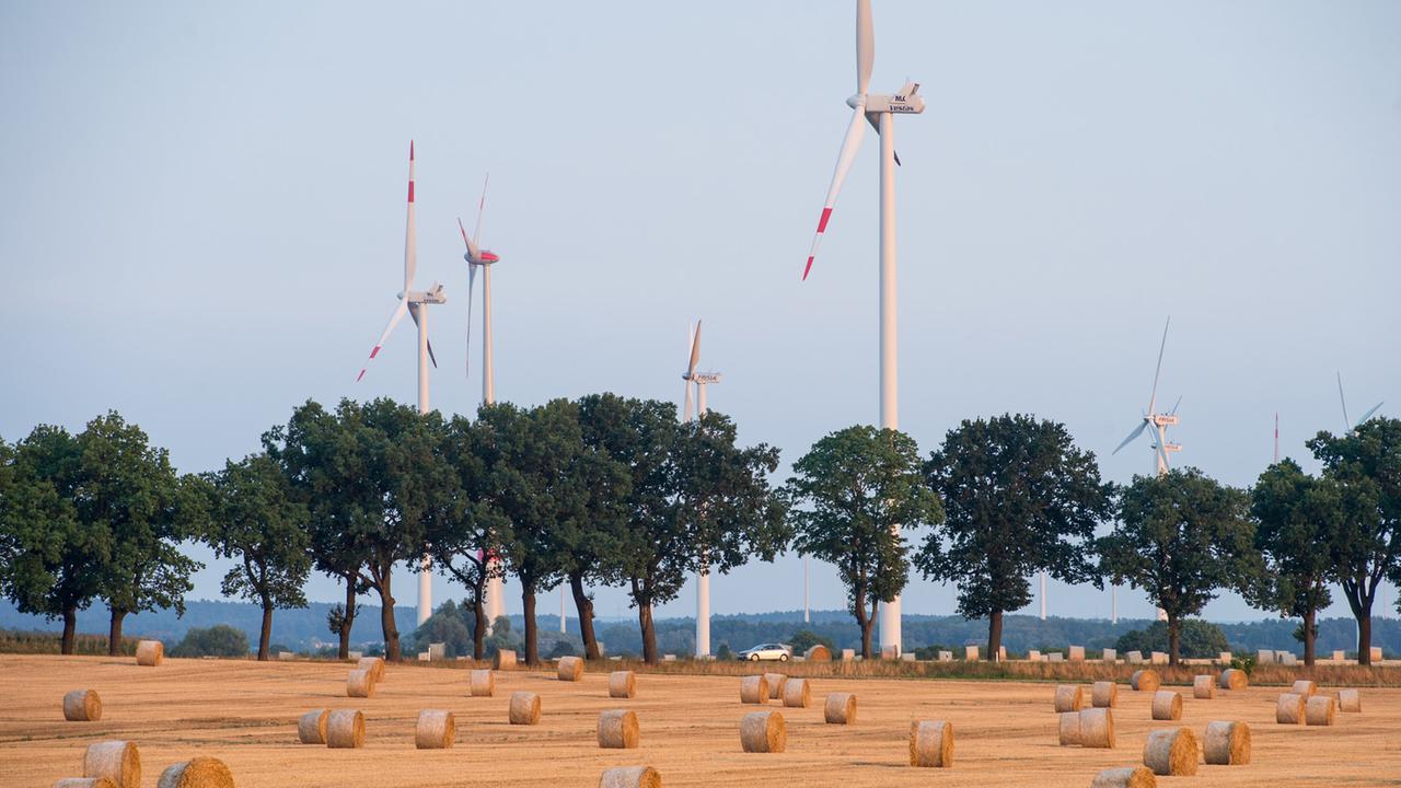 Strohrollen liegen auf einem abgeernteten Getreidefeld vor Windrädern im Landkreis Oder-Spree in Petersdorf (Brandenburg). Strohrollen liegen auf einem abgeernteten Getreidefeld vor Windrädern im Landkreis Oder-Spree in Petersdorf (Brandenburg).