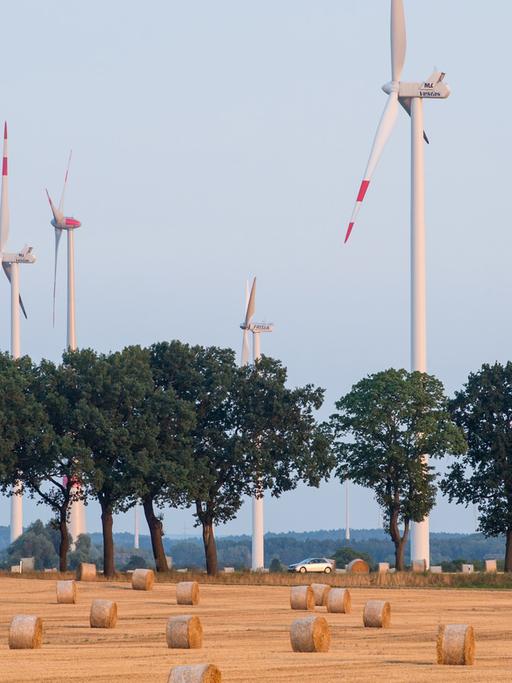 Strohrollen liegen auf einem abgeernteten Getreidefeld vor Windrädern im Landkreis Oder-Spree in Petersdorf (Brandenburg).