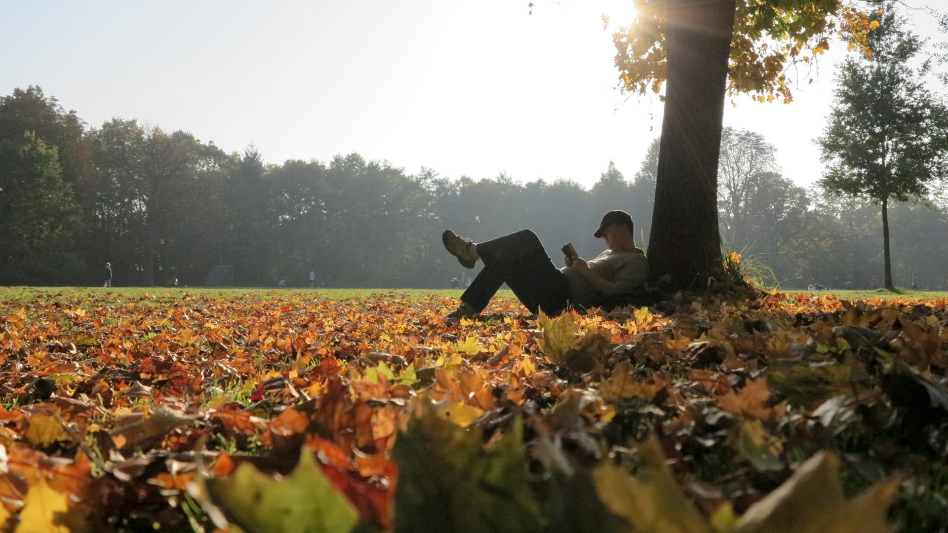 Im Münchner Hirschgarten hat es sich ein Mann unter einem Baum in der Sonne bequem gemacht und liest. Im Münchner Hirschgarten hat es sich ein Mann unter einem Baum in der Sonne bequem gemacht und liest.