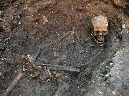 Ein Foto der Universität Leicester zeigt Überreste englischen Königs Richard III., der in der Schlacht von Bosworth Field im Jahr 1485 getötet wurde. Ein Foto der Universität Leicester zeigt Überreste englischen Königs Richard III., der in der Schlacht von Bosworth Field im Jahr 1485 getötet wurde.