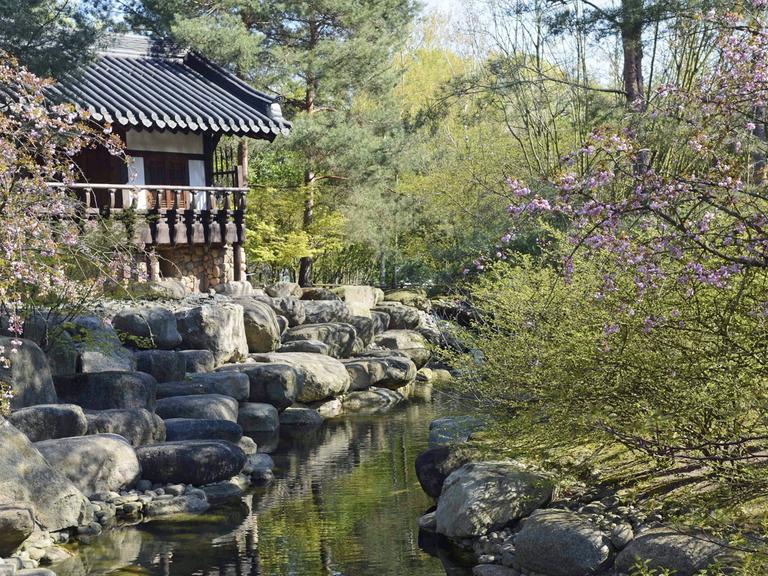 Blick in den Koreanischen Garten in Berlin Marzahn