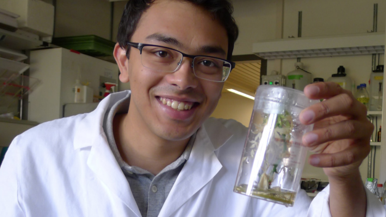Devang Mehta - hier noch im Labor des Zurich-Basel Plant Science Center - hält ein Glas mit Pflanzenkeimlingen 