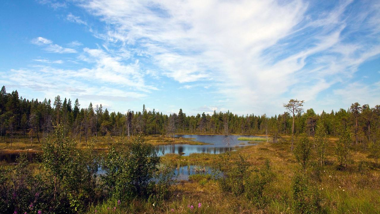 Ein idyllischer Waldsee im finnischen Lappland. Ein idyllischer Waldsee im finnischen Lappland.
