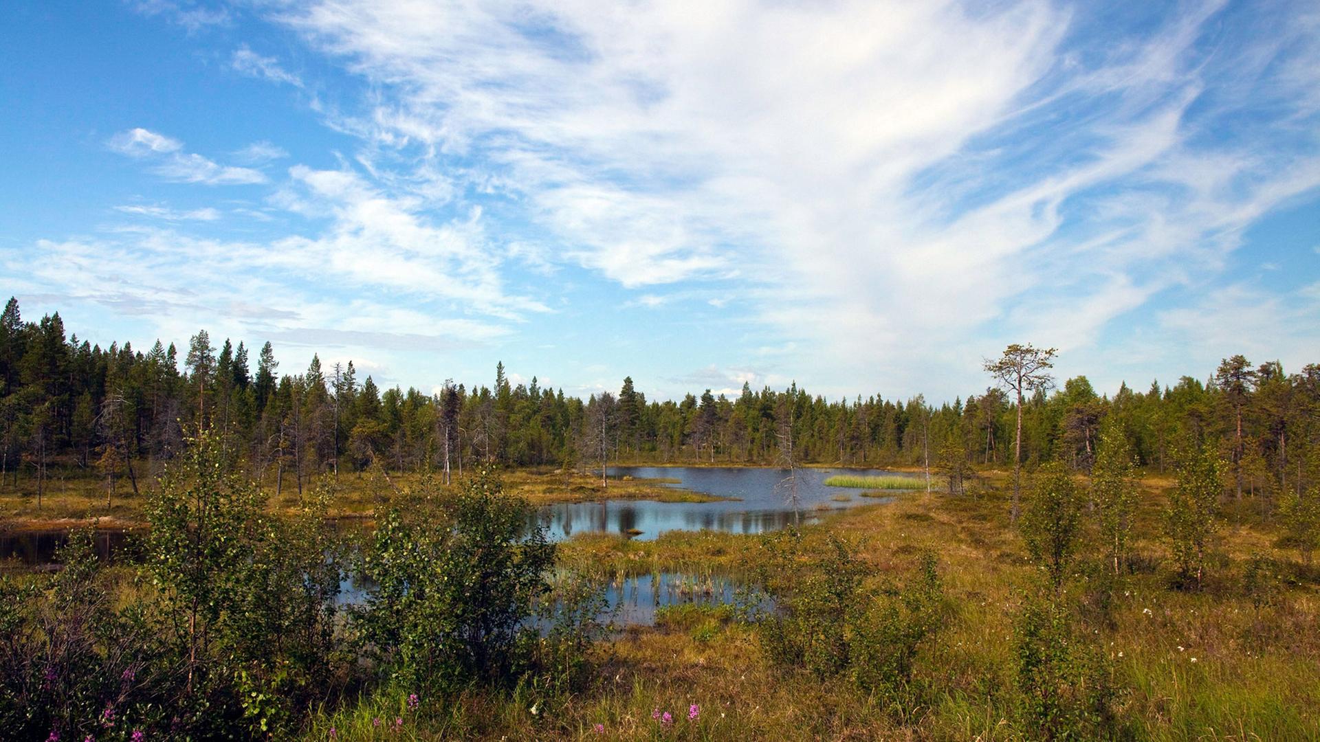 Ein idyllischer Waldsee im finnischen Lappland. Ein idyllischer Waldsee im finnischen Lappland.