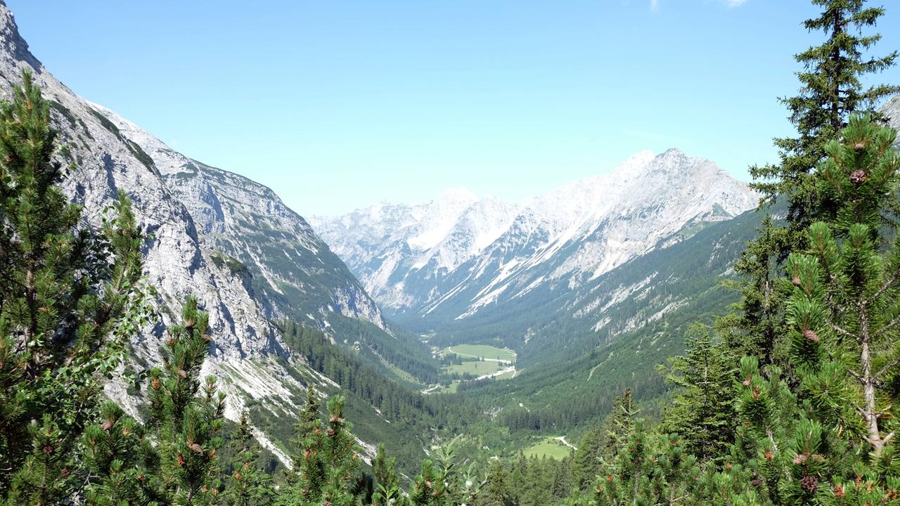 Blick zwischen Baumkronen hindurch auf Hochgebirge. Blick zwischen Baumkronen hindurch auf Hochgebirge.