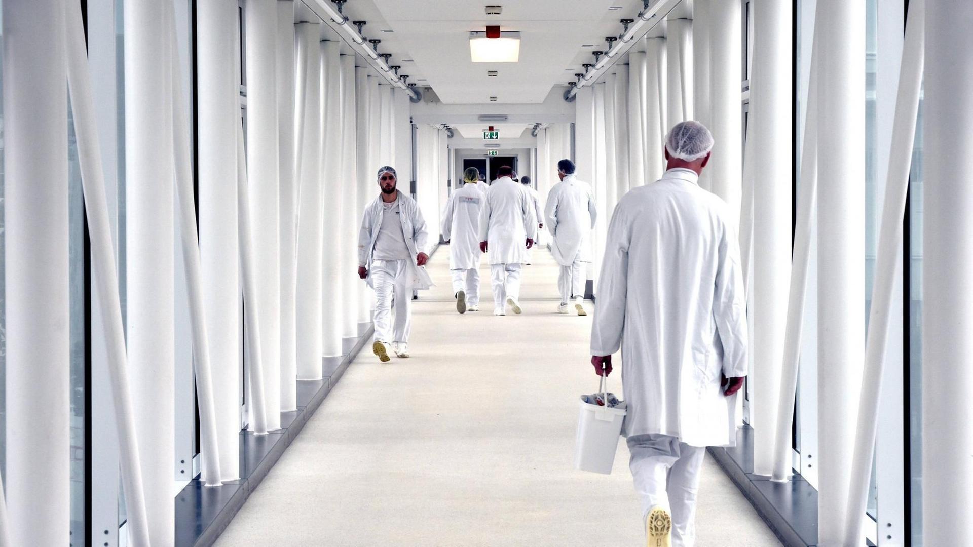 Weißer Glasgang mit Mitarbeiterinnen in Schutzkleidung Weißer Glasgang mit Mitarbeiterinnen in Schutzkleidung