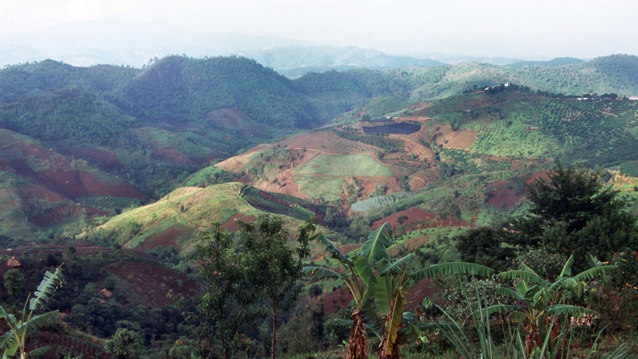 Landschaft im "Goldenen Dreieck" auf thailändischer Seite. Im Vordergrund Bananenstauden.  Das Goldene Dreieck, ein hügeliges Grenzgebiet zwischen Thailand, Myanmar (Birma) und Laos, ist vor allem durch den Anbau und Schmuggel von Schlafmohn, aus dem Opium und Heroin gewonnen werden, bekannt geworden.