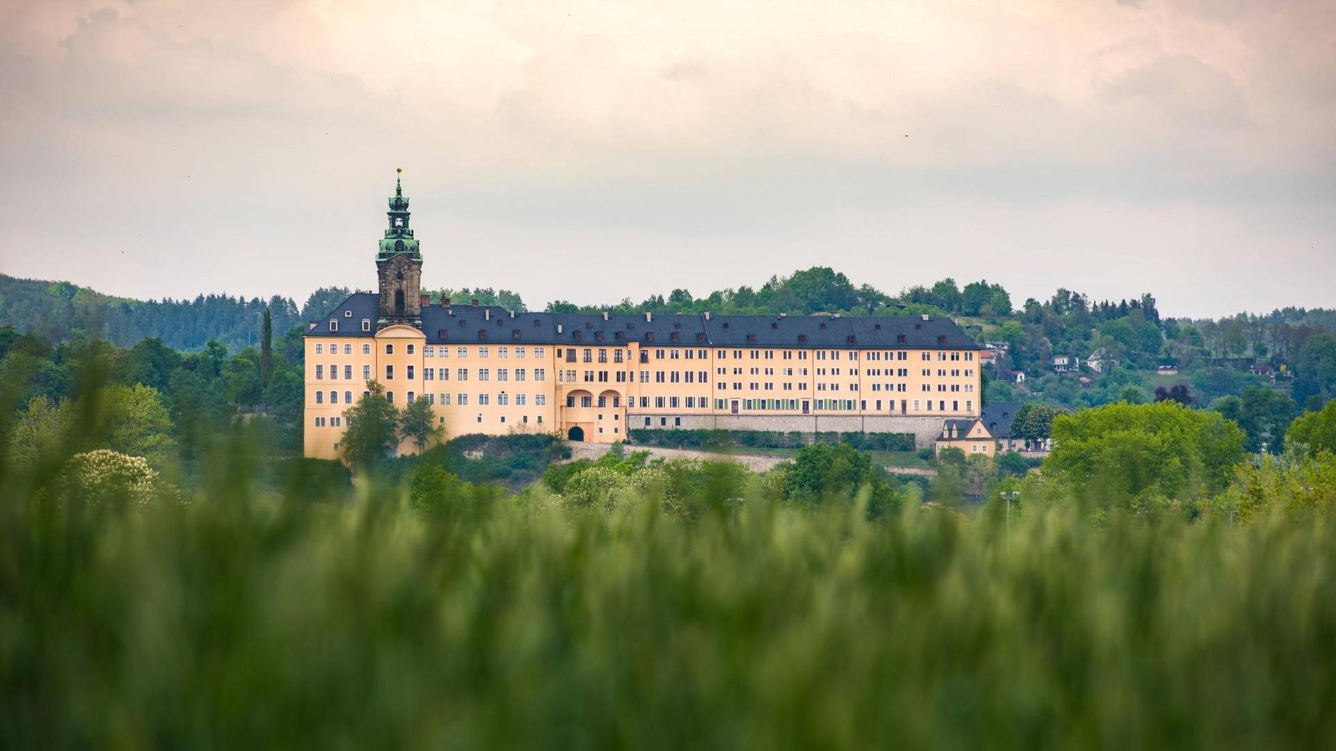 Ein gelber Barockbau mit Turm in den Hügeln von Thüringen über eine Wiese hinweg betrachtet. Ein gelber Barockbau mit Turm in den Hügeln von Thüringen über eine Wiese hinweg betrachtet.