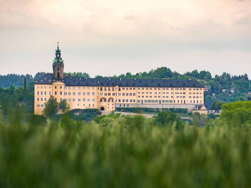 Ein gelber Barockbau mit Turm in den Hügeln von Thüringen über eine Wiese hinweg betrachtet.