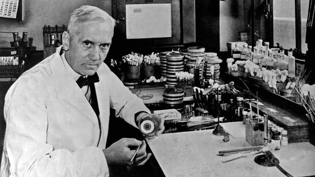 Alexander Flemings Entdeckung war für Bakterien nichts neues.