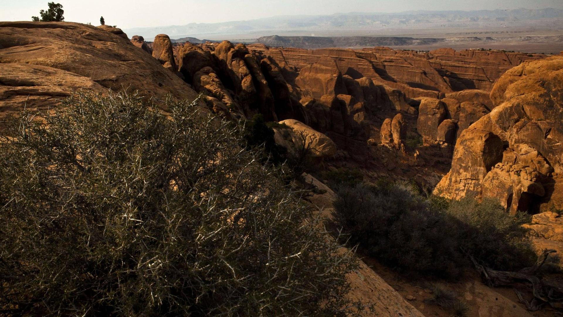 Felslandschaft bei Moab, Utah Felslandschaft bei Moab, Utah