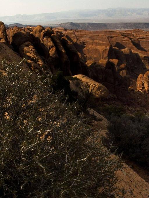 Felslandschaft bei Moab, Utah