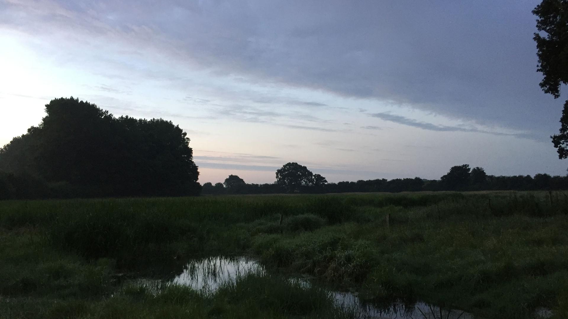 Sonnenaufgang an einem Tümpel in Schleswig-Holstein. Sonnenaufgang an einem Tümpel in Schleswig-Holstein.