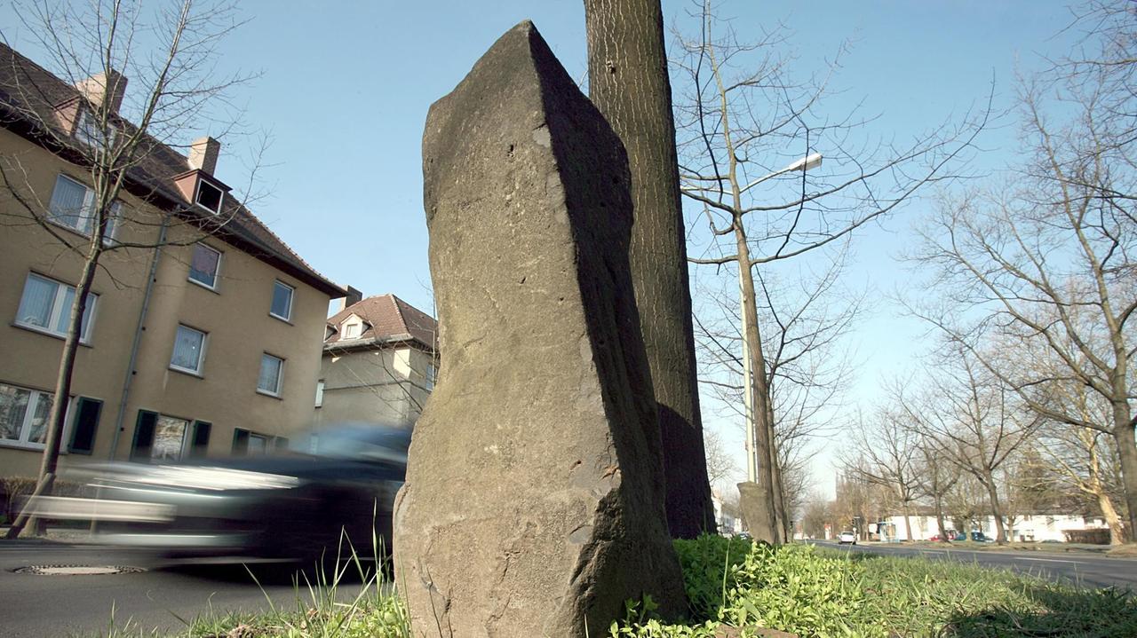Ein Auto fährt am Dienstag (13.03.2007) in Kassel an einer Beuys-Eiche vorbei. Das Pflanzen der ersten Eiche vor 25 Jahren (16.03.1982) hatte zu erheblichen Widerständen in der Stadt geführt. Das Einsetzen des letzten Baumes fünf Jahre später hatte der 1986 gestorbene Joseph Beuys schon nicht mehr miterlebt.