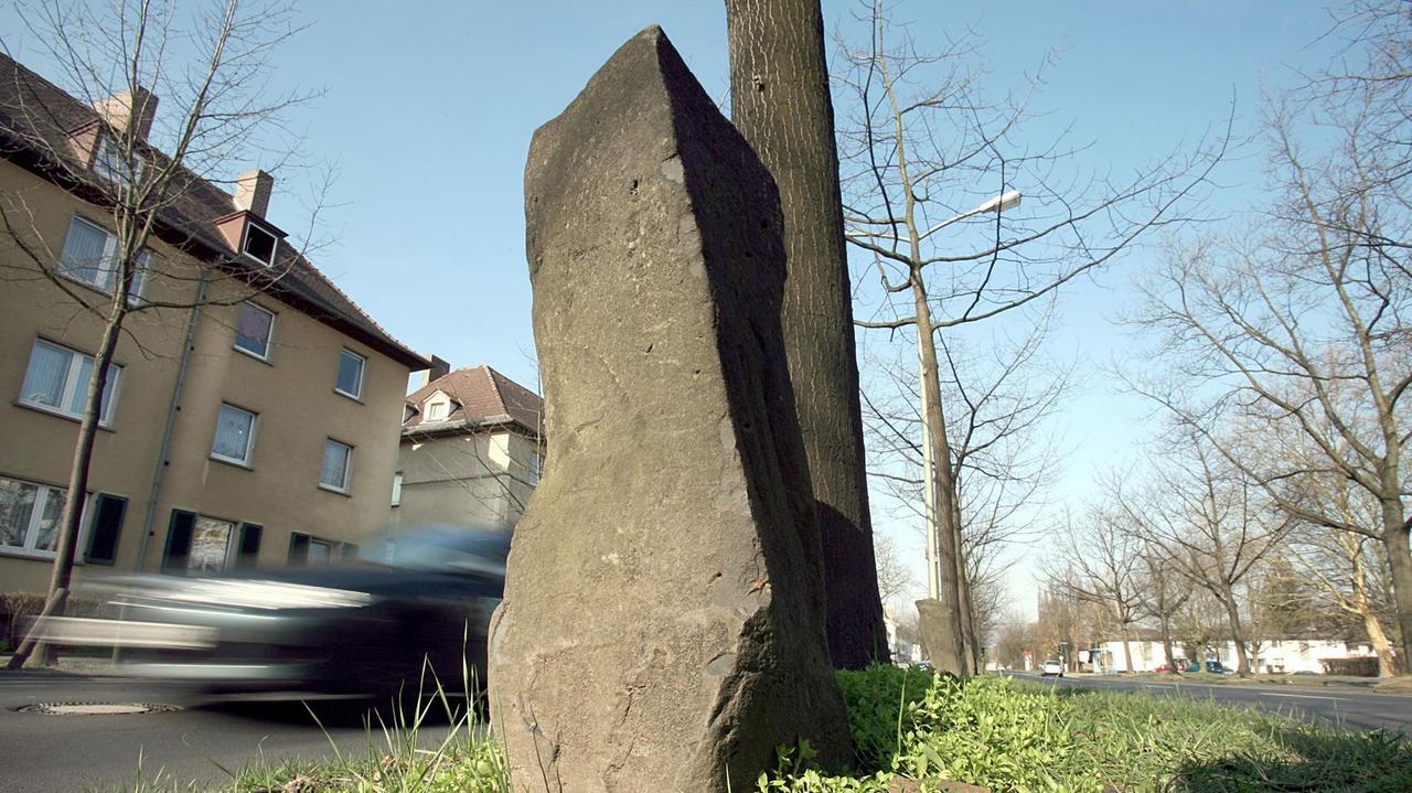 Ein Auto fährt am Dienstag (13.03.2007) in Kassel an einer Beuys-Eiche vorbei. Das Pflanzen der ersten Eiche vor 25 Jahren (16.03.1982) hatte zu erheblichen Widerständen in der Stadt geführt. Das Einsetzen des letzten Baumes fünf Jahre später hatte der 1986 gestorbene Joseph Beuys schon nicht mehr miterlebt. Ein Auto fährt am Dienstag (13.03.2007) in Kassel an einer Beuys-Eiche vorbei. Das Pflanzen der ersten Eiche vor 25 Jahren (16.03.1982) hatte zu erheblichen Widerständen in der Stadt geführt. Das Einsetzen des letzten Baumes fünf Jahre später hatte der 1986 gestorbene Joseph Beuys schon nicht mehr miterlebt.