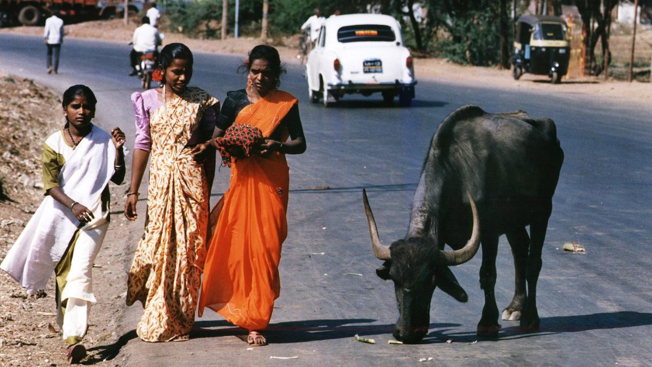 Drei Inderinnen in traditionellen Saris laufen auf einer Straße in Bangalore an einer Heiligen Kuh vorbei. Drei Inderinnen in traditionellen Saris laufen auf einer Straße in Bangalore an einer Heiligen Kuh vorbei.
