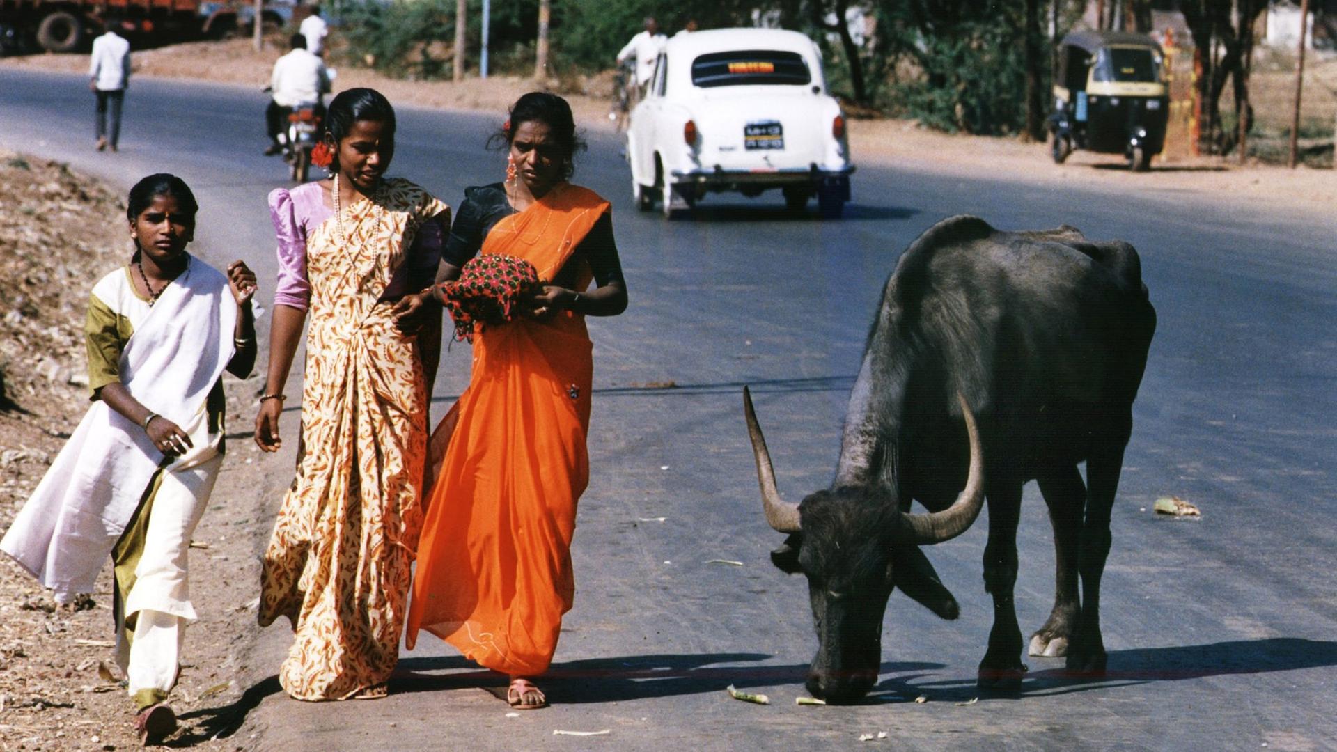 Drei Inderinnen in traditionellen Saris laufen auf einer Straße in Bangalore an einer Heiligen Kuh vorbei. Drei Inderinnen in traditionellen Saris laufen auf einer Straße in Bangalore an einer Heiligen Kuh vorbei.