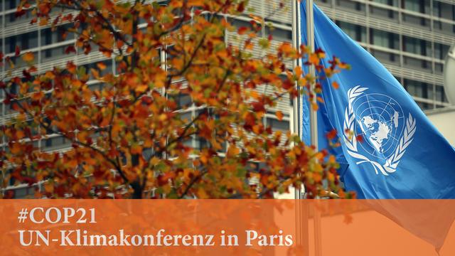 Die Fahne der Vereinten Nationen weht Ende Oktober 2015 in Bonn vor dem Konferenzgebäude.