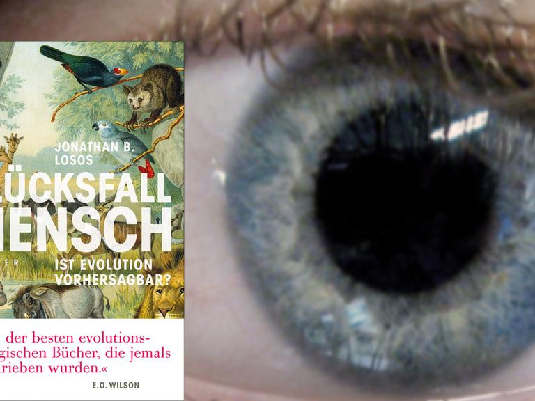 Buchcover "Glücksfall Mensch" von Jonathan B. Losos, im Hintergrund ein menschliches Auge in einer Nahaufnahme