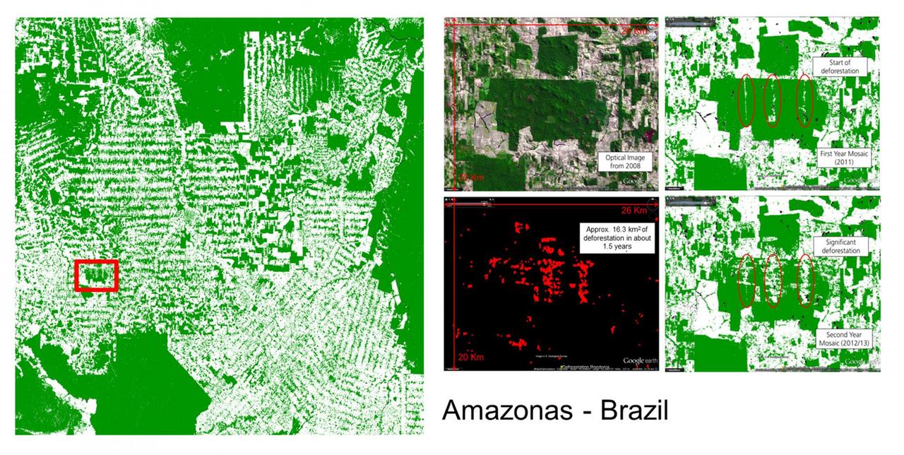 Satellitendaten der Region Rondonia im brasilianischen Amazonas-Regenwald, beim Deutschen Zentrum für Luft- und Raumfahrt. Rot markiert sind Gebiete, wo zwischen 2011 und 2013 Abholzung stattgefunden hat.