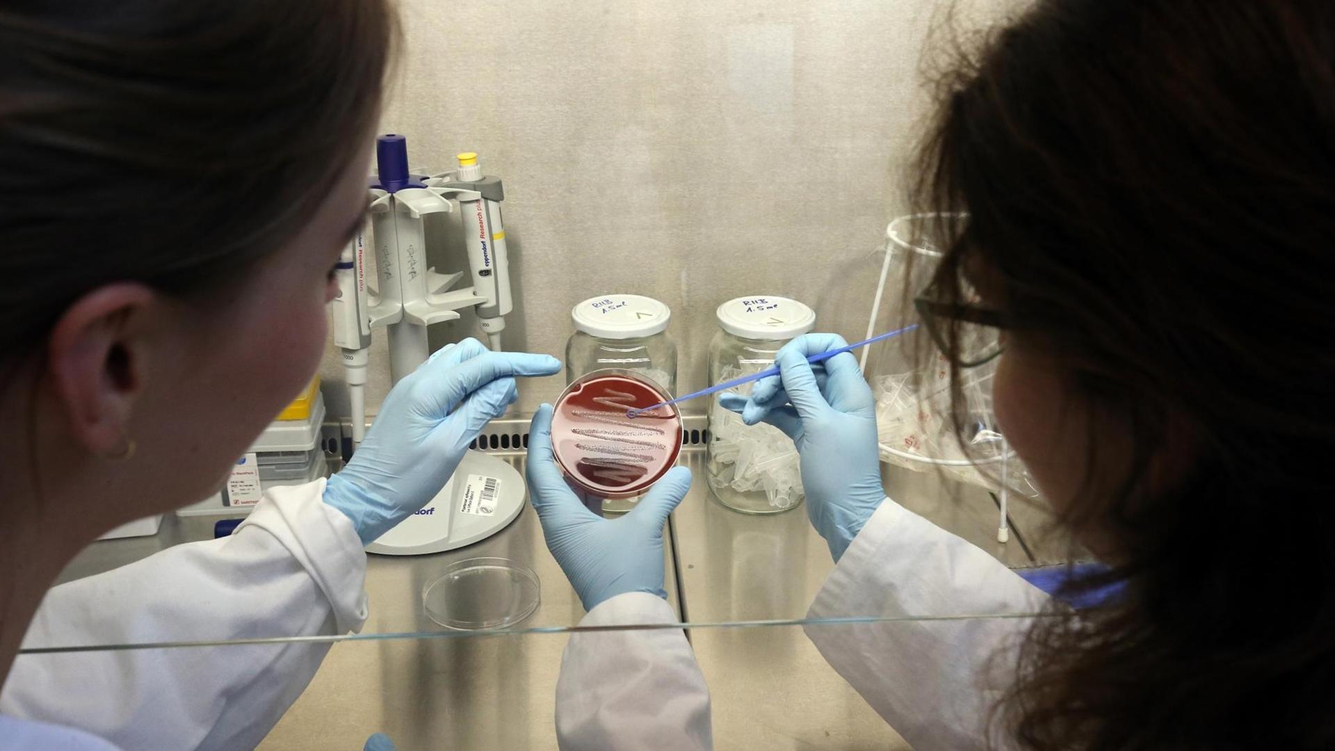 Wissenschaftlerinnen im Forschungslabor Wissenschaftlerinnen im Forschungslabor