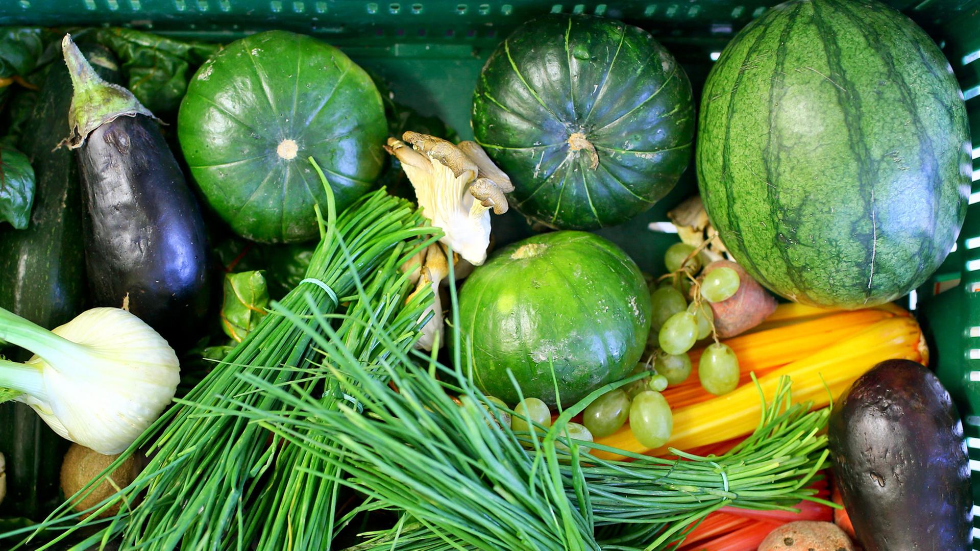 Ein Gemüse-Korb mit Fenchel, Schnitt-Lauch, Kürbissen und Auberginen. Ein Gemüse-Korb mit Fenchel, Schnitt-Lauch, Kürbissen und Auberginen.