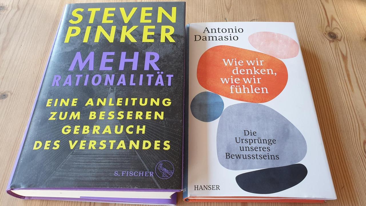 Neue Sachbücher von Steven Pinker: "Mehr Rationalität" und Antonio Damasio: "Wie wir denken, wie wir fühlen". Neue Sachbücher von Steven Pinker: "Mehr Rationalität" und Antonio Damasio: "Wie wir denken, wie wir fühlen".