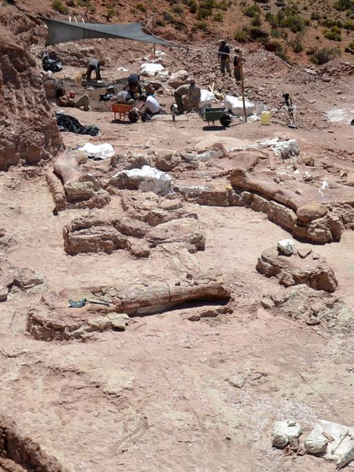 Dinosaurier-Funde in Argentinien Ausgrabungsstelle südwestlich von Trelew (Argentinien) in der Provinz Chubut.