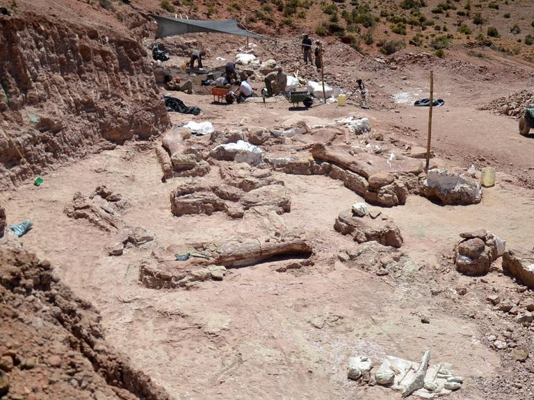 Dinosaurier-Funde in Argentinien Ausgrabungsstelle südwestlich von Trelew (Argentinien) in der Provinz Chubut.