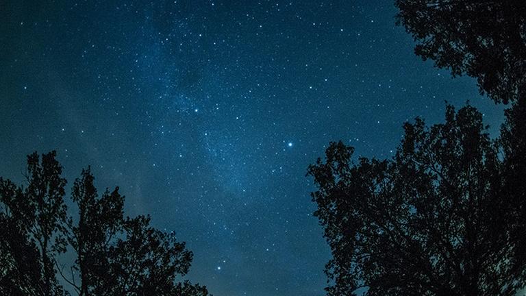 12.08.2018, Brandenburg, Prietzen: Die Milchstraße ist unweit von Prietzen (Brandenburg) am Himmel zu sehen. In der Nacht waren viele Menschen unterwegs, um den Höhepunkt des Meteorstrom der Perseiden zu sehen. Außergewöhnlich viele Sternschnuppen flogen über den Himmel. Foto: Wolfgang Kumm/dpa | Verwendung weltweit 12.08.2018, Brandenburg, Prietzen: Die Milchstraße ist unweit von Prietzen (Brandenburg) am Himmel zu sehen. In der Nacht waren viele Menschen unterwegs, um den Höhepunkt des Meteorstrom der Perseiden zu sehen. Außergewöhnlich viele Sternschnuppen flogen über den Himmel. Foto: Wolfgang Kumm/dpa | Verwendung weltweit